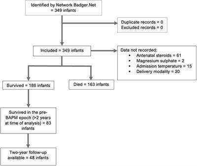 Perinatal optimisation for periviable birth and outcomes: a 4-year network analysis (2018–2021) across a change in national guidance